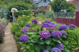 Дом с з/у в СНТ